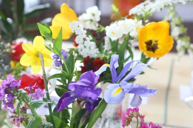 East Preston and Kingston Horticultural Society's spring show. Photo by Derek Martin DM1941072a