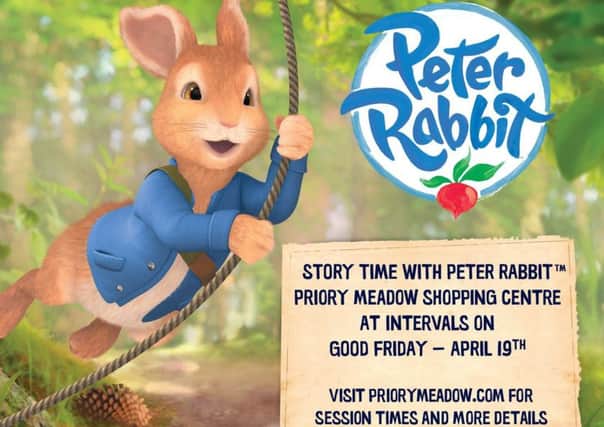 Peter Rabbit SUS-190417-083742001
