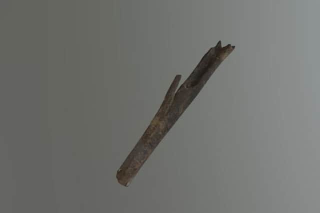 First century rabbit bone found at Fishbourne Roman Place
