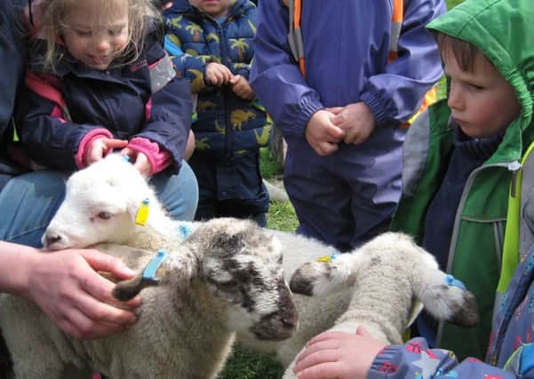 The children waited their turn for a cuddle with a lamb