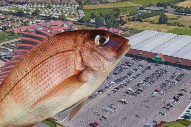 Asda Sign Fish Ferring Asda customer 'throws fish at teen' to stop them getting his ...