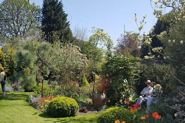 Rye View, one of the Winchelsea gardens that took part in the National Garden Scheme event April 2019 SUS-190423-095109001