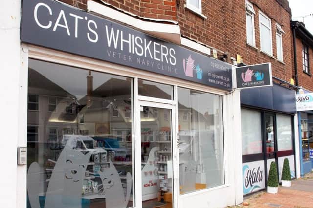 Cat's Whiskers clinic in Worthing has been refurbished. Photo by Derek Martin DM1941844a
