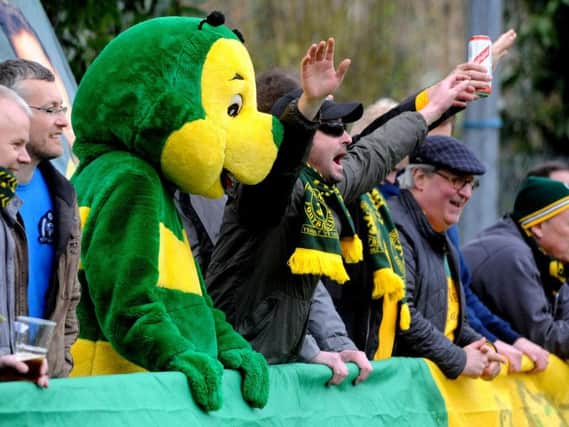 Horsham mascot Howie the Hornet. SR1610956. Picture by Steve Robards