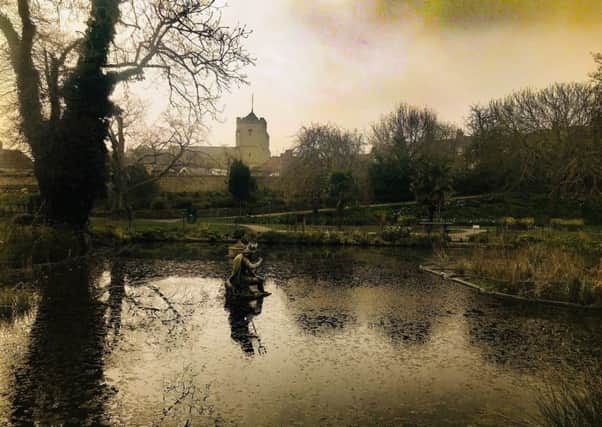 Stella Ann Ward took this atmospheric shot of Neptune in the middle of the pond whilst on a walk through Motcombe Park. SUS-191004-134145001