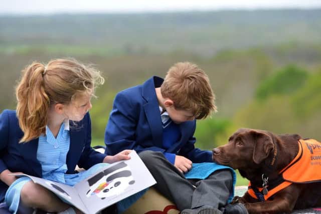 Labrador Lottie with pupils at the Mayfield school. Photograph: Peter Cripps/ 24-4-19 (10)