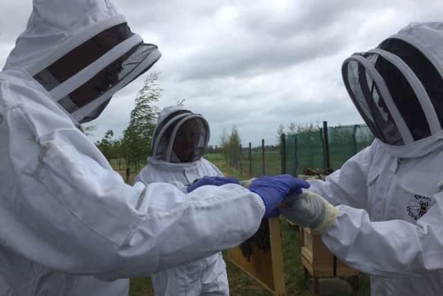 The bee keeping experience at Albourne Estate