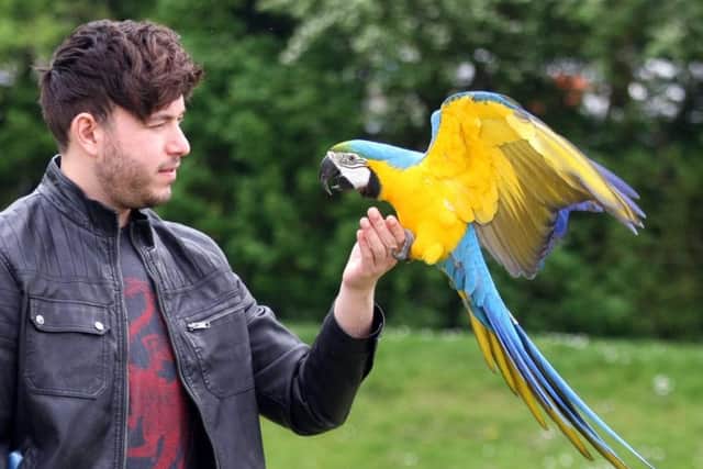 Curtis Fullman with Rhaegar the macaw. Picture: Derek Martin