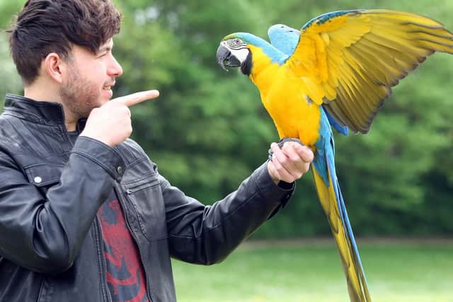 Curtis Fullman and his parrot Rhaegar. Picture: Derek Martin