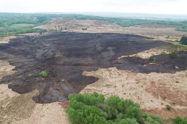 Scene of the Ashdown Forest fire - drone photo by Eddie Mitchell SUS-190429-171753001
