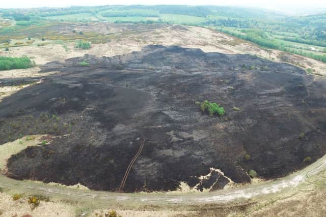 Scene of the Ashdown Forest fire - drone photo by Eddie Mitchell SUS-190429-171817001