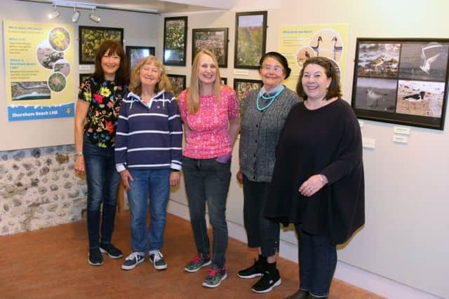 The Friends of Shoreham Beach showcase the Local Nature Reserve in an exhibition at Marlipins Museum, from left, Christine Bohea, Jan Newnham, Lynda Hargreaves and Jacky Woolcock, with curator Emma O'Connor. Photo by Derek Martin DM1942570a