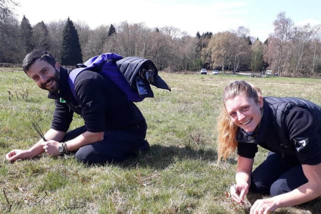 South Downs National Park rangers Kate Dziubinska and Charles Winchester, working as part of the task force to rehome field crickets