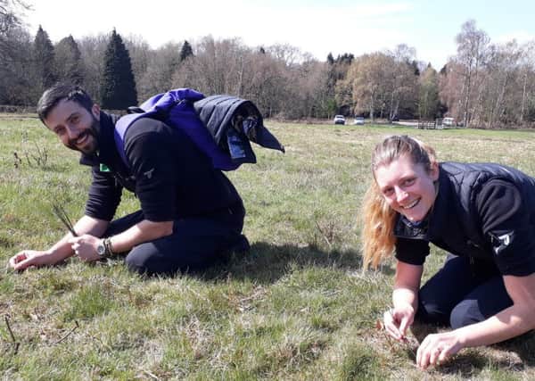 South Downs National Park rangers Kate Dziubinska and Charles Winchester, working as part of the task force to rehome field crickets