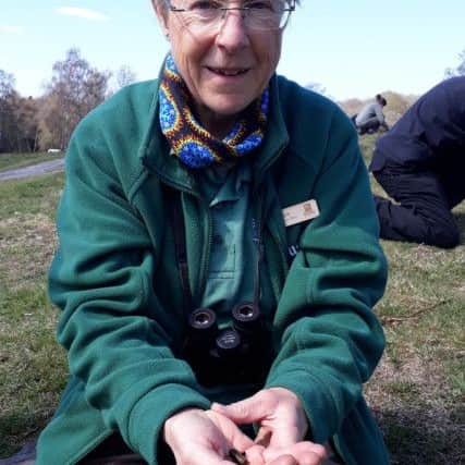 Sarah Quantrill from Sussex Wildlife Trust and Steyning Downland Scheme with a field cricket