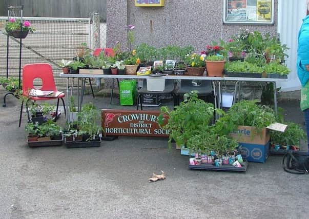 Crowhurst and District Horticultural Society's annual Plant Sale at the Village Hall on May 4, 2019. SUS-190605-131531001