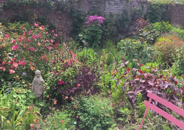 A St Michael's hospice Open Garden at Winchelsea SUS-190705-131506001