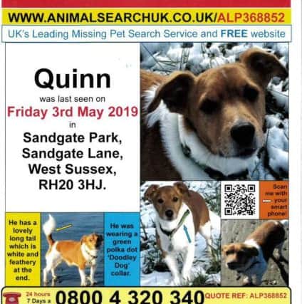 Posters have been distributed over a wide area in a desperate search for Quinn SUS-190513-114921001