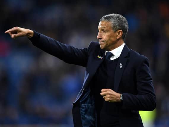 Chris Hughton. Picture by Getty Images