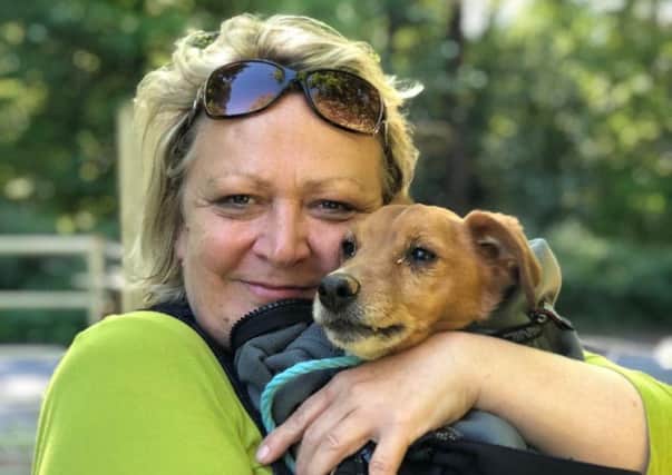 Quinn reunited with his overjoyed owner Melissa Moremon after an 11-day ordeal SUS-190515-111513001