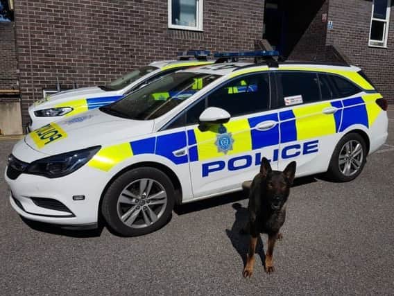 Police Dog Goose - he tracked down a drink-driver along a mile-long route SUS-190517-150202001