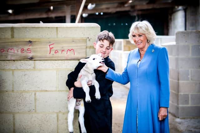The royal visitor meets a lamb. Image: Sophie Mitchell Photography