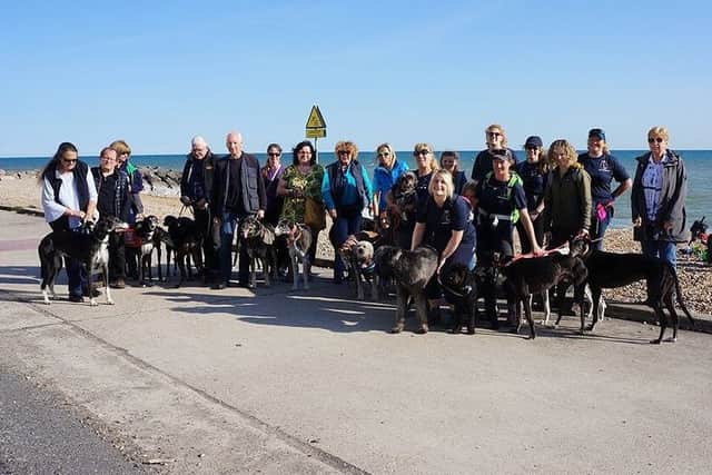 The team at the finishing line at the Brighton Marina with some of the Greyhounds looked after by the charity
