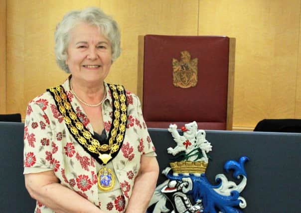 New Horsham District Council Chairman Cllr Kate Rowbottom