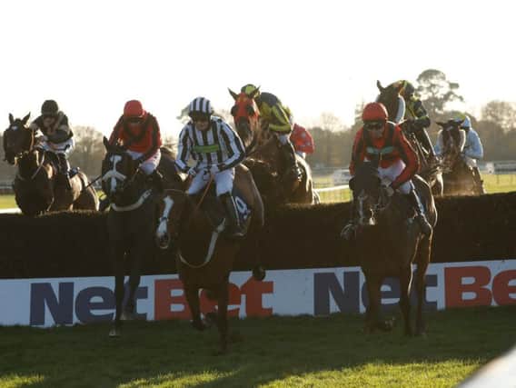 Fontwell Park action / Picture by Clive Bennett