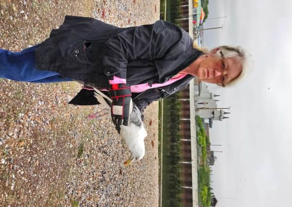 Jaine Wild with the seagull she helped to rescue near Littlehampton Pier