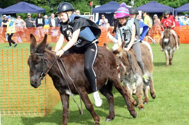 Fun for all the family at the Adur East Lions donkey derby and classic vehicle rally