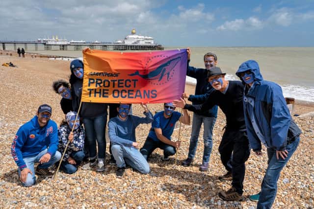Eastbourne Greenpeace campaigners on the beach. Photos by Steve Malone. SUS-191106-154503001