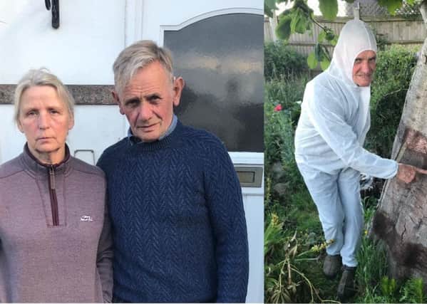 Diana and Fred Benton are living in white boiler suits to avoid 'toxic caterpillars'