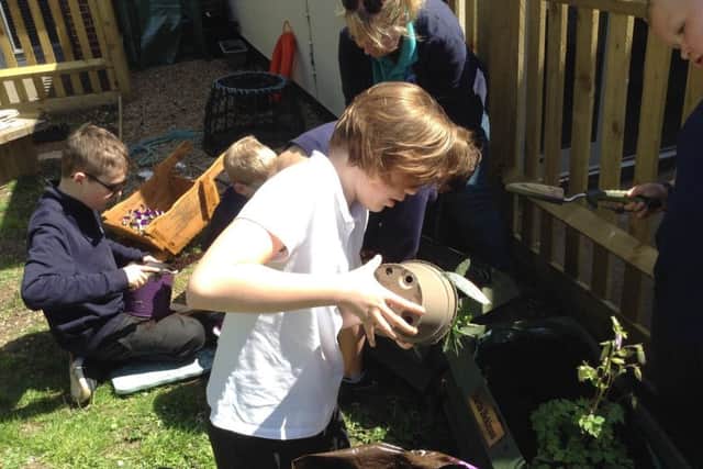 Pupils planting in the garden