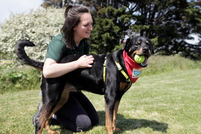 Alice Maltby, canine carer, with Rosa at Dogs Trust Shoreham