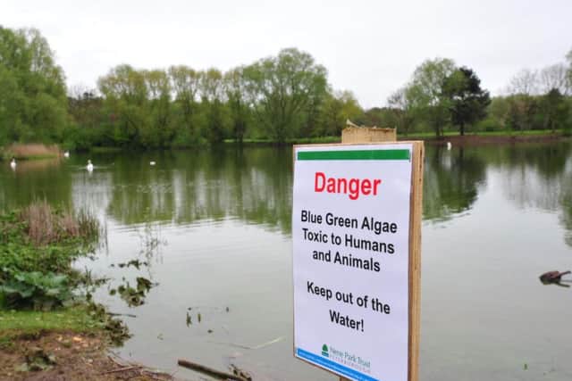 A veterinary group has issued a warning following a suspected fatal case of exposure to blue-green algae