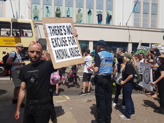 March for Animals in Brighton city centre, photo by Steve Holloway SUS-190629-150435001