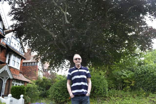 Peter Green in front of the protected tree in Upper Avenue, Eastbourne (Photo by Jon Rigby)