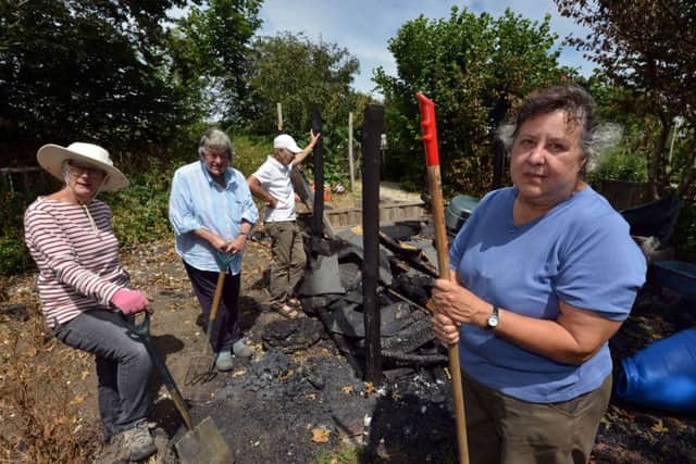 Lesley Healey (front) and allotment members. Photo by Peter Cripps