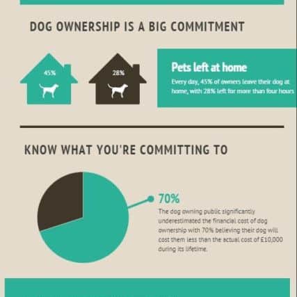 Statistics about dog ownership