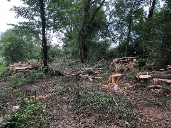 Dozens of trees in Balls Cross have been cut down, much to the anger of local residents