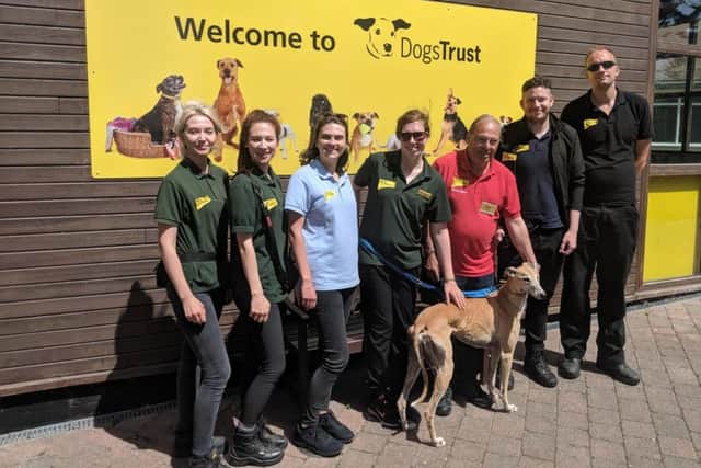 Part of the Dogs Trust Shoreham team: Ella Bowden-Williams, Sophie Lewis-Perry, Joanna May, Helen Fountain, Derek Davis, Chris Barnard, Ryan Hawkins, Cici the dog