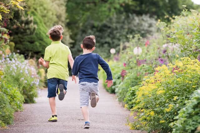 Theres plenty of fun for children at Borde Hill this summer