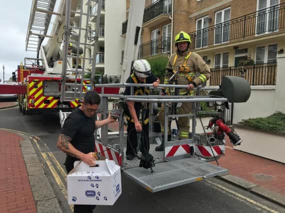 The fire service was called out to rescue a seagull