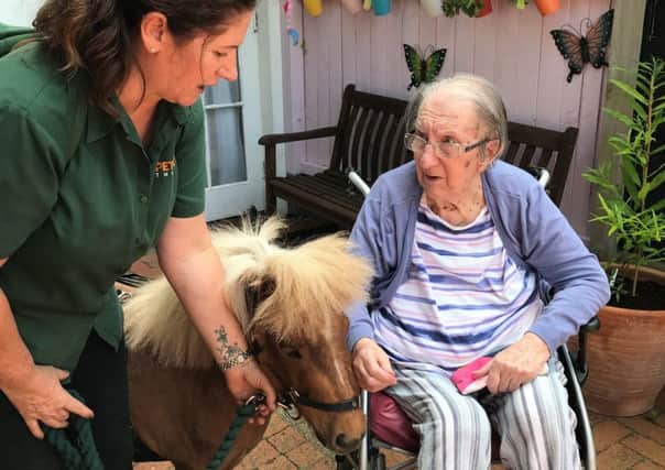 Dooley the pony visiting residents at Red Oaks care home in Henfield SUS-190724-145908001