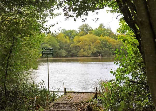 Furnace Pond, Slaugham