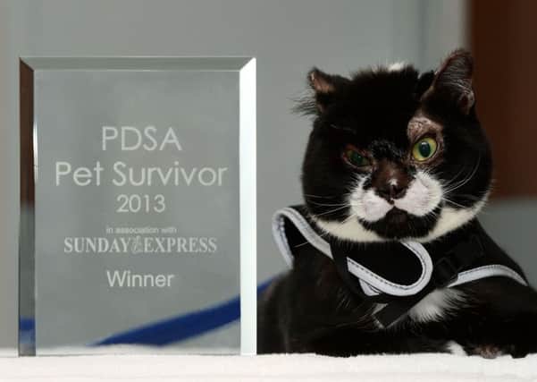 Pet Survicor Awards 1 SUS-190208-093805001