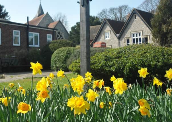 Spring flowers, daffodils, at Willingdon village March 29th 2012 E13213N ENGSUS00120120330110958