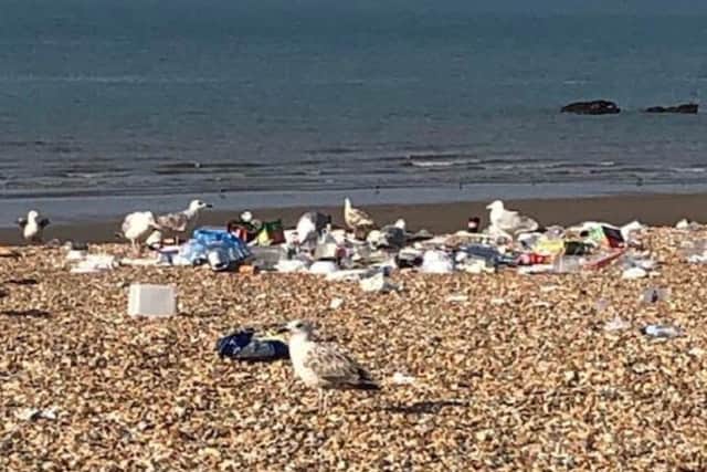 Beach litter 1 SUS-190508-072830001
