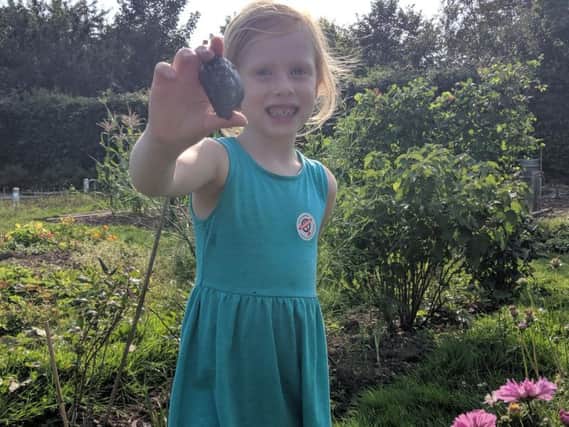 Whilst digging on thefamily allotmentbehind the Tangmere Military Aviation Museum,Elsa Davis discovered a piece of bent metal from a World War Two aircraft